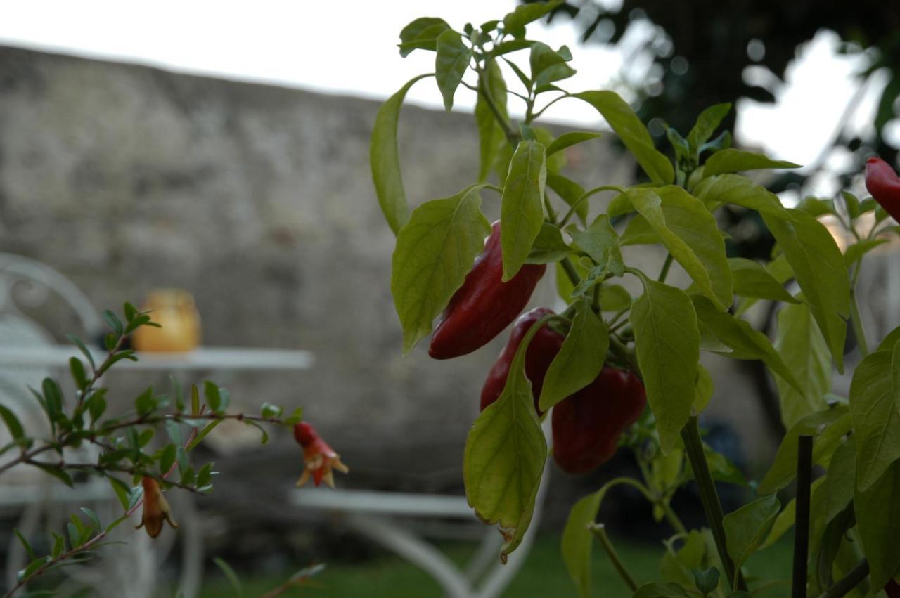 Castello D'Alcontres B&B Nizza di Sicilia Exterior foto